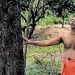 വീട്ടുവളപ്പില്‍  കോടികളുടെ ചന്ദനമരം ; സമാധാനമില്ലാതെ കുടുംബം